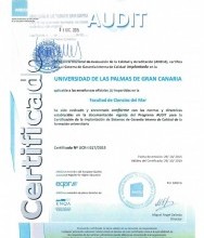 Certificación AUDIT